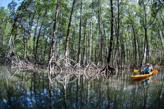 Segeltörn im paradiesischen Mergui Archipel ab Kawthaung: Mergui Archipelago