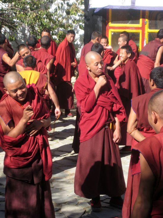 Die Magie Tibets - Basis & Mt. Everest & Tsetang ab Lhasa: Tibetan Monks debating