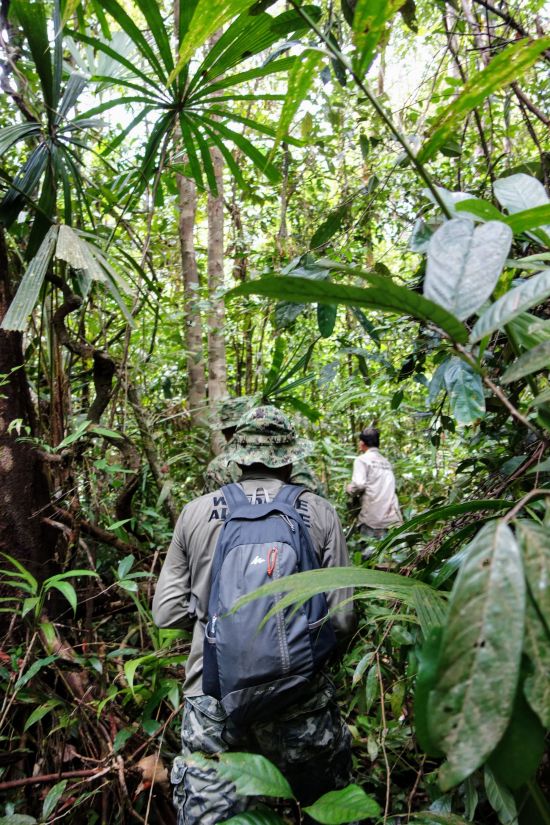 Dans le Far West cambodgien de Siem Reap: activities: Cardamom Tented Camp | Jungle Tour