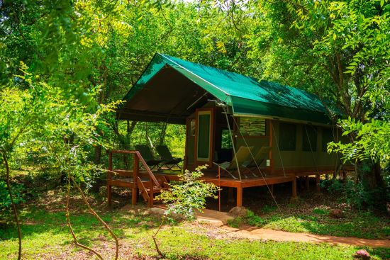Kulu Safaris - Yala Nationalpark Safari - 2 Tage ab Colombo: Kulu Safaris Yala