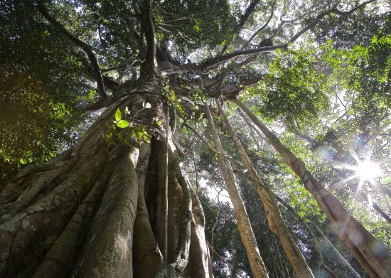 Unbekannter I-San ab Bangkok: Khao Yai Nationalpark