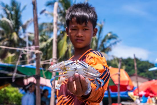 Pfeffriges Kampot ab Phnom Penh: Kampot harbour boy with crab