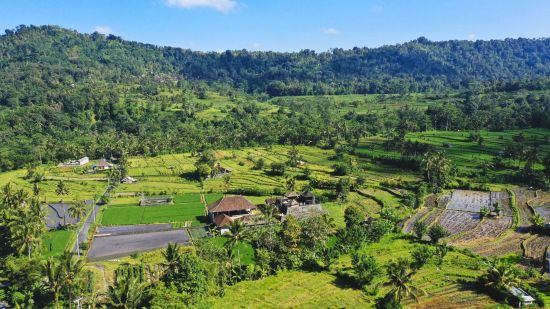 Natur & Traditionen in Balis Osten ab Südbali: Bali View of beautiful rice fields at a cool resort of Sidemen Village
