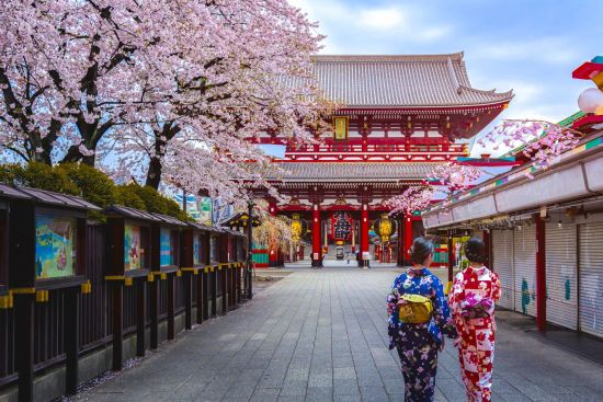 Circuit en groupe «Les hauts lieux de la Corée du Sud et du Japon» de Séoul: Tokyo Asakusa Sensoji Temple with two Geishas