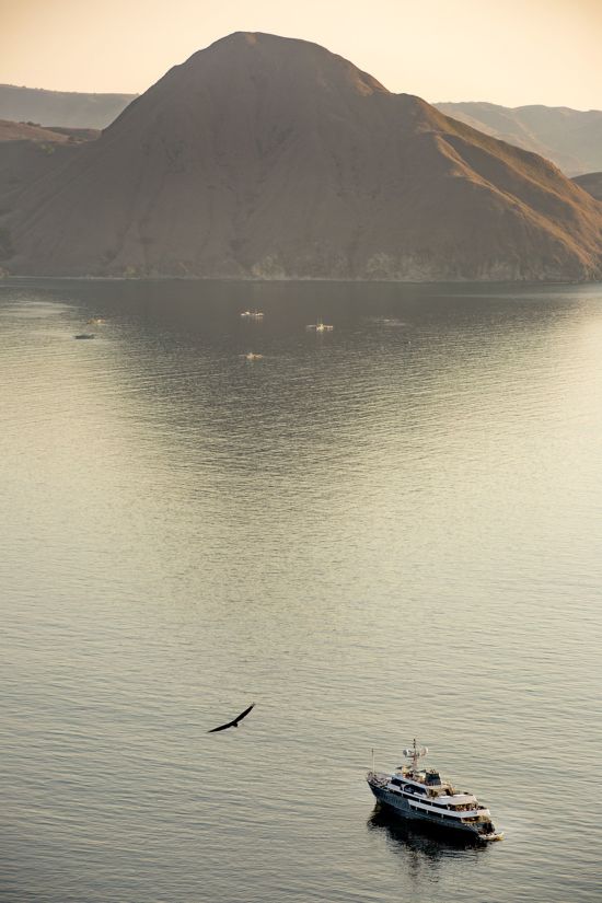Kreuzfahrt im Korallendreieck Indonesiens (Komodo - Bali) ab Labuan Bajo: opinion: Aqua Blu