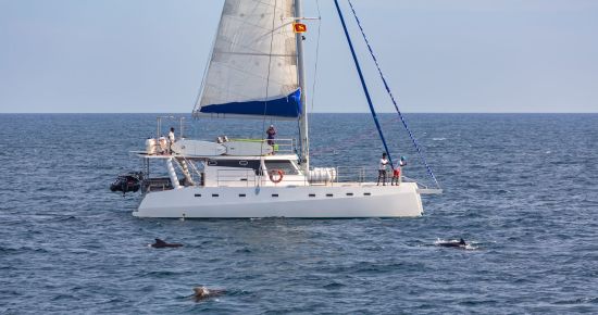Croisière sur la côte est paradisiaque de Trincomalee: Sail Lanka