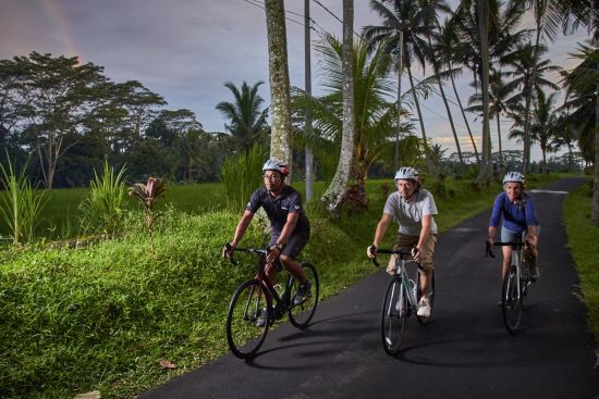 Bike Bali - Velotour durch die Götterinsel ab Ubud: Guests with Guide biking