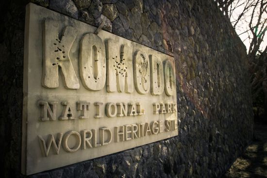 Croisière vers les varans de Komodo de Labuan Bajo: Komodo Island
