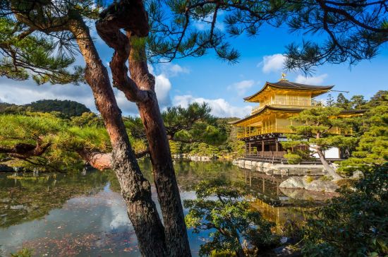 Circuit en groupe «Découverte active du nord du Japon» de Memanbetsu: Kyoto - The Golden Pavilion (Kinkakuji Temple)