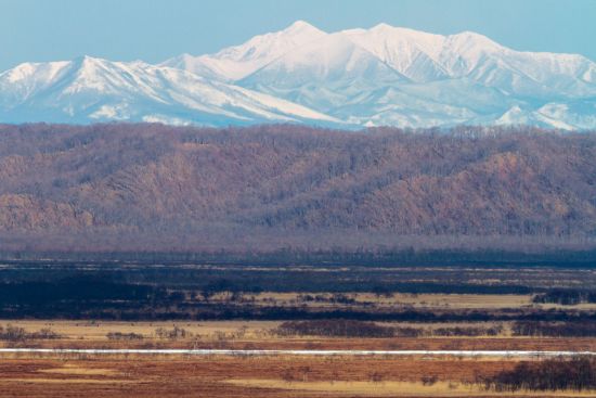 Circuit en groupe «Découverte active du nord du Japon» de Memanbetsu: Hokkaido Kushiro-Shitsugen national park