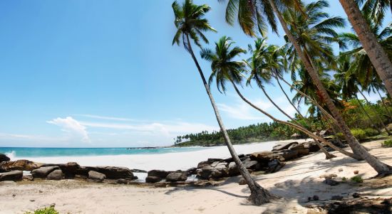Wildes Süd-Sri Lanka ab Colombo: Tangalle Beach
