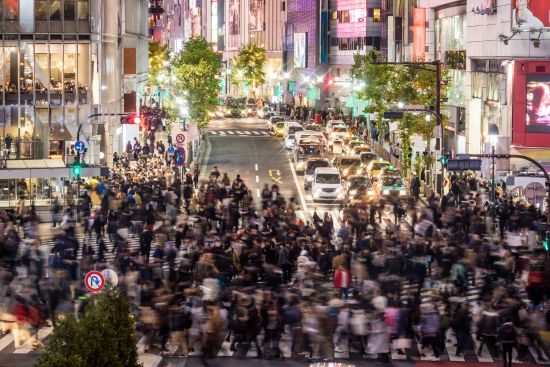 Circuit en groupe «Samouraï» de Hakodate: Tokyo - Top view view of Shibuya Crossing