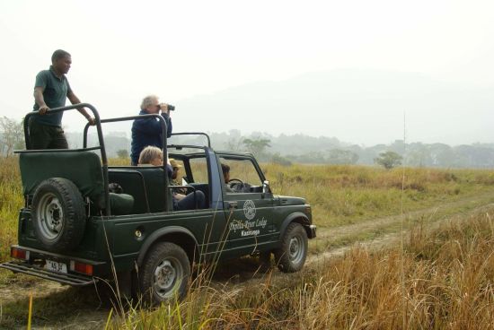 Wildes Assam ab Dibrugarh: activities: Jeep safari at Kaziranga NP