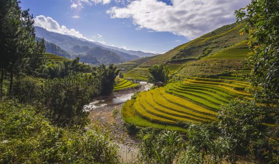 Idylle luxueuse à Mai Chau de Hanoi: Mai Chau: Terraced rice field