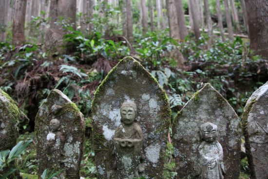 Kumano Kodo: le chemin sacré du pèlerinage au Japon de Kyoto: Impression of Kumano Kodo trail