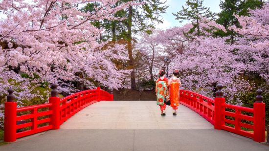 Geheimnisvolles Nordjapan ab Tokio: Japanese Geisha at Hirosaki park