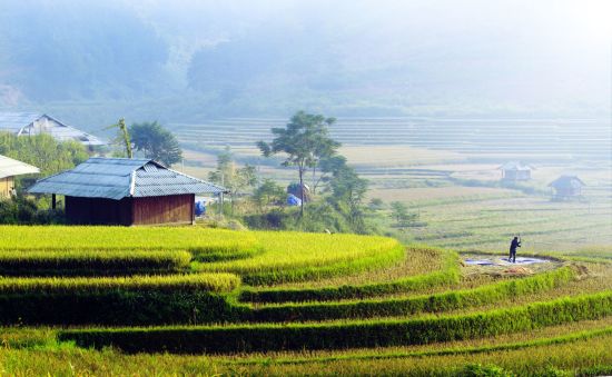 Abenteuer Sapa «Authentic Package» ab Hanoi: Sapa: house of Red Dao on footpaths and terraced fields