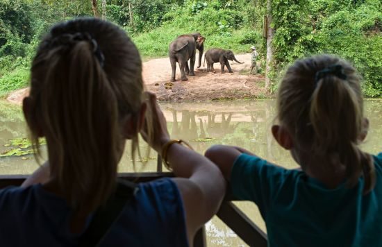 Au royaume des éléphants de Luang Prabang: Young visitors observing elephants