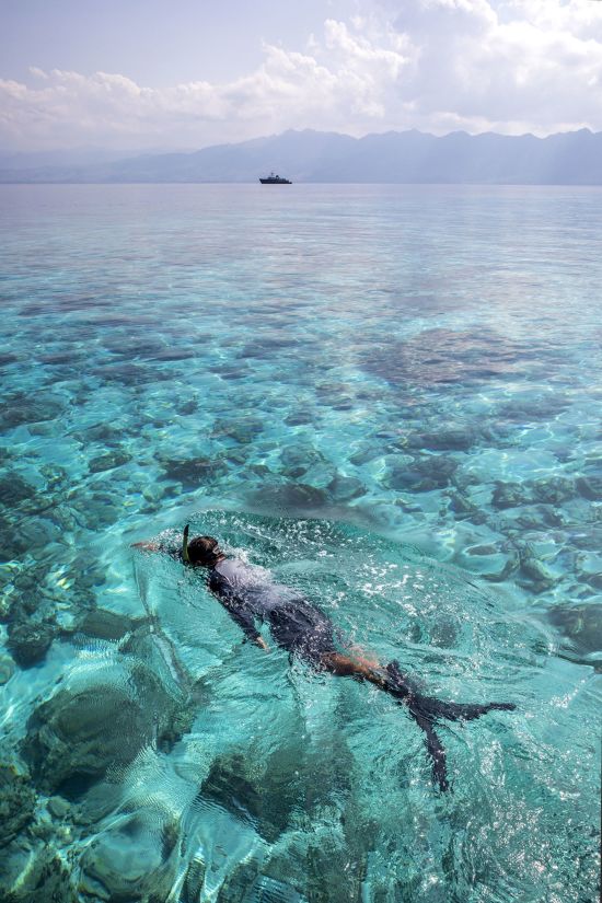 Traumhafte Kreuzfahrt ins Herz der Molukken ab Ambon: activities: Snorkelling