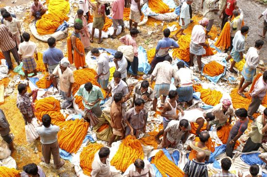 Leserreise Bhutan und Assam de Paro: Kolkata: Flower Market