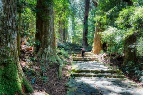 Kumano Kodo: le chemin sacré du pèlerinage au Japon de Kyoto: Cobblestone path through the Kumano Kodo trail