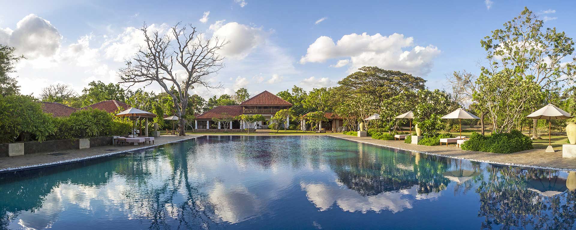 Vue d'une maison avec piscine entourée de verdure.