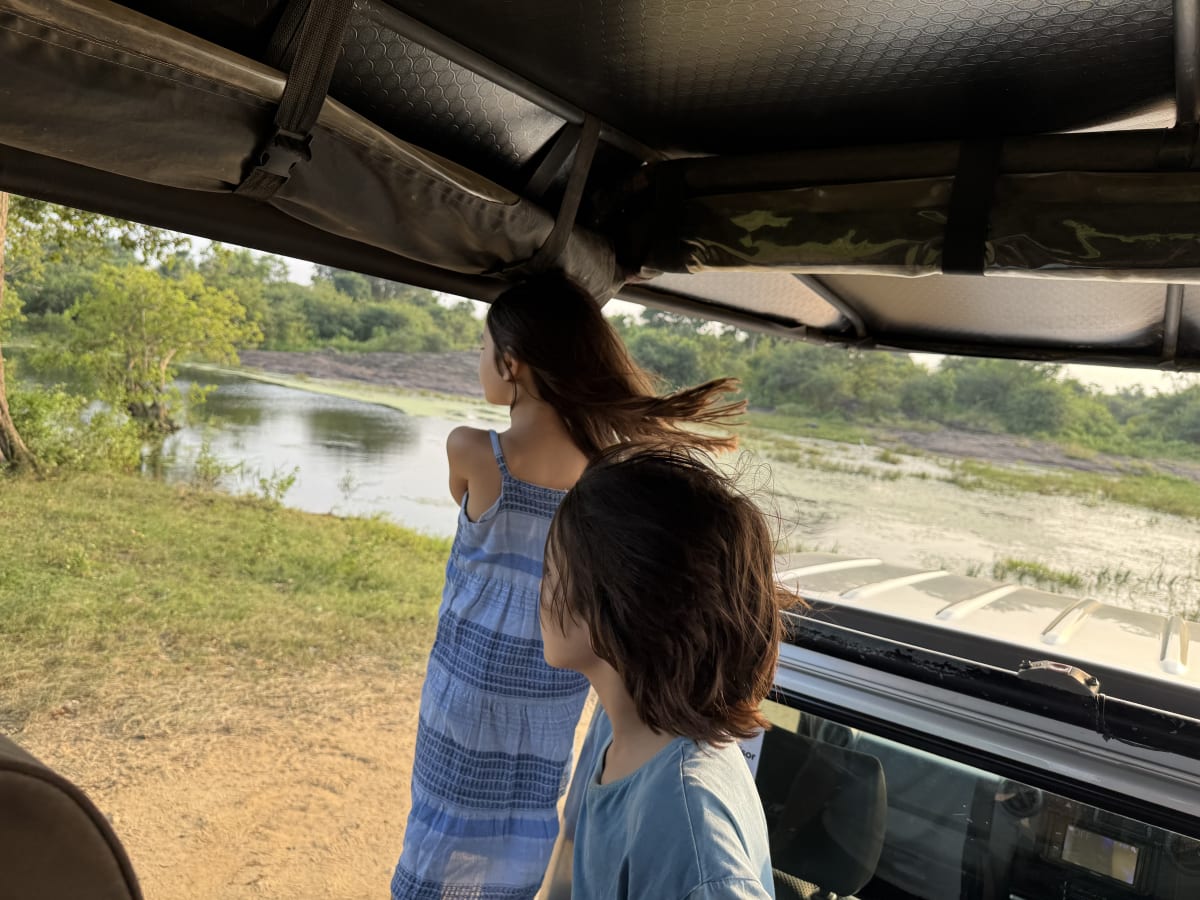 Kinder in Jeep auf Safari tour