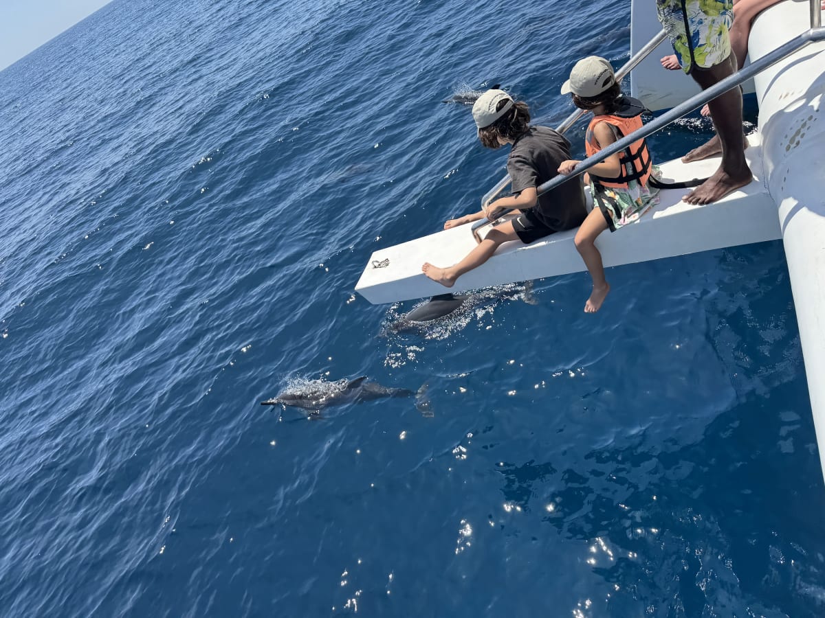 Kinder auf dem boot und beobachten Delphine