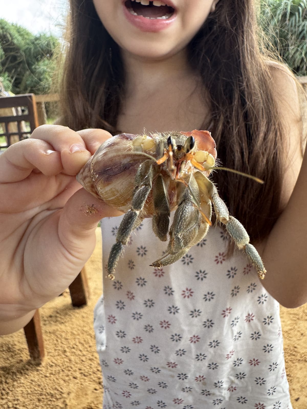 Kind hält Krebs in die Kamera
