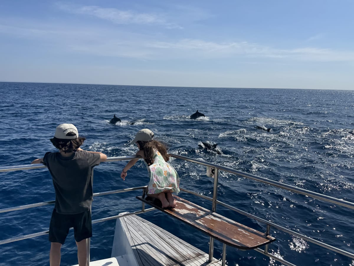 Kinder schauen vom Boot ins Meer