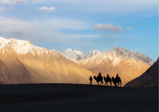 Les montagnes spectaculaires de Ladakh de Leh: Nubra Valley Camels