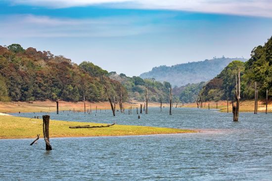 Naturschönheiten Keralas ab Kochi: Periyar National Park