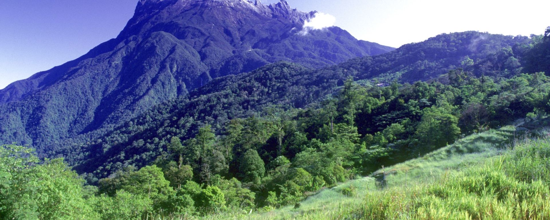 Parc du Mont Kinabalu à Kota Kinabalu: Sabah: Mt. Kinabalu