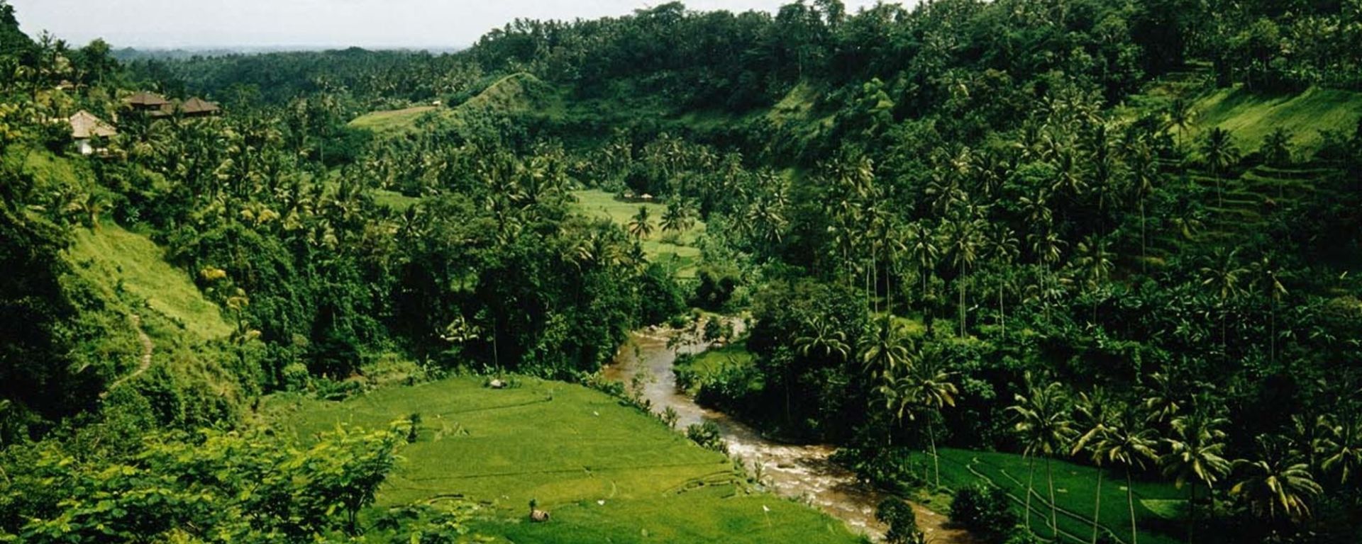 Ubud auf eigene Faust im "VW Kübelwagen": Bali Ubud