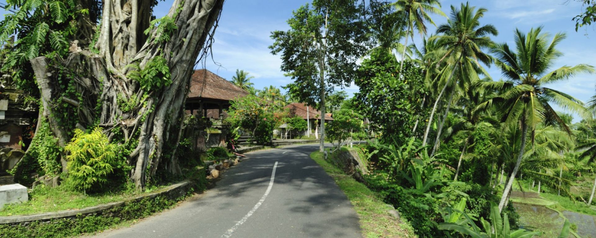 Bali de son propre chef - demi-journée à Sud de Bali: Bali Road