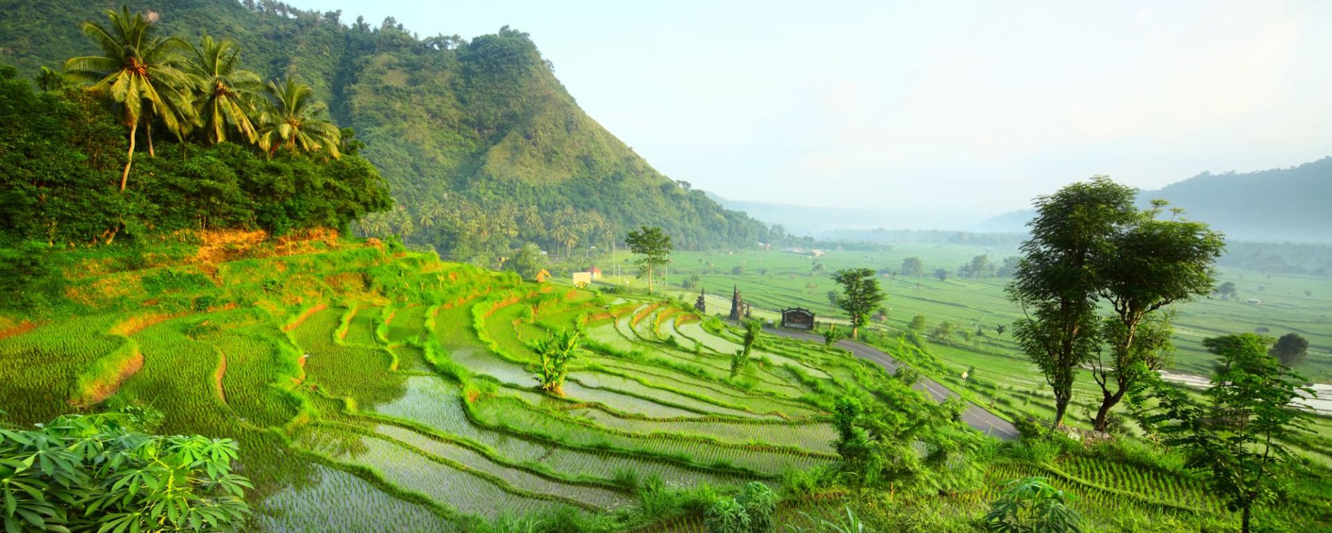 Bali auf eigene Faust, halber Tag in Südbali: Bali Rice fields