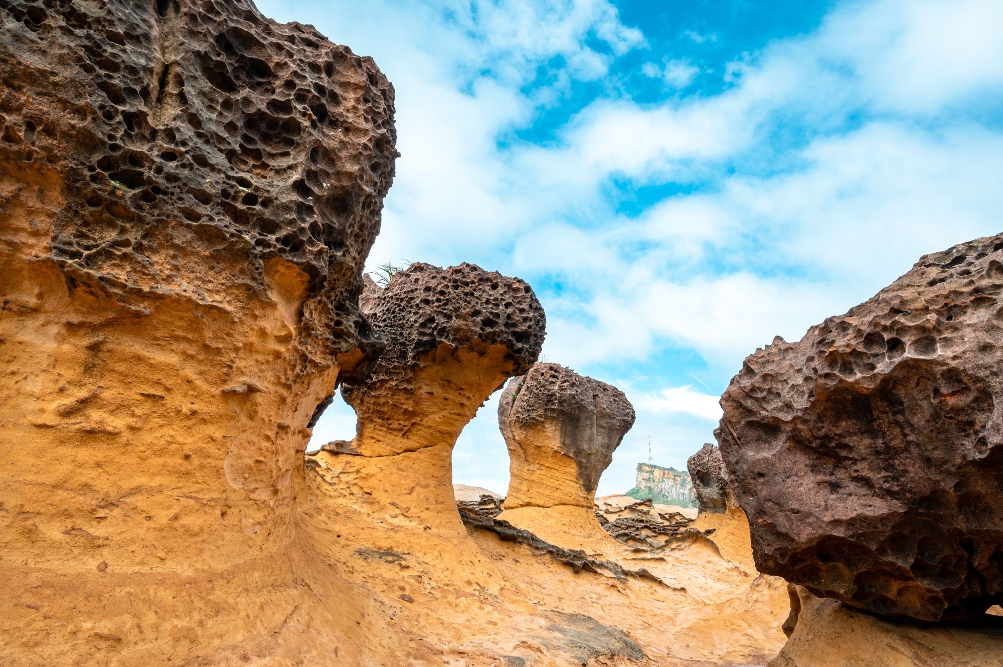 Natur & Kultur im Norden in Taipei: Yehliu Geopark
