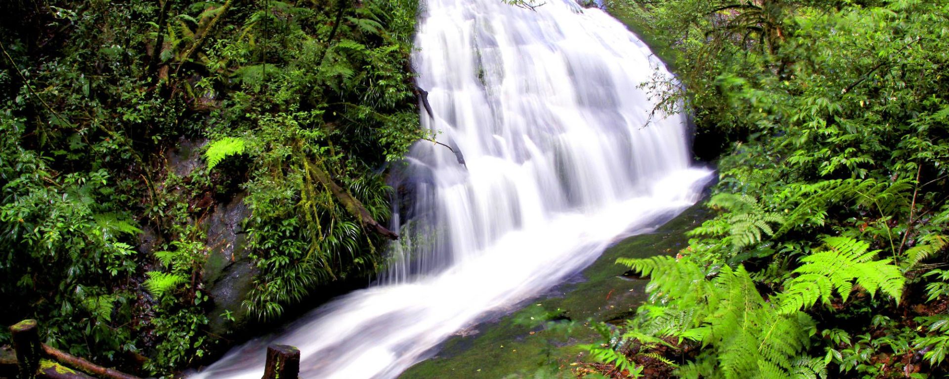 Doi Inthanon in Chiang Mai: Doi Inthanon River