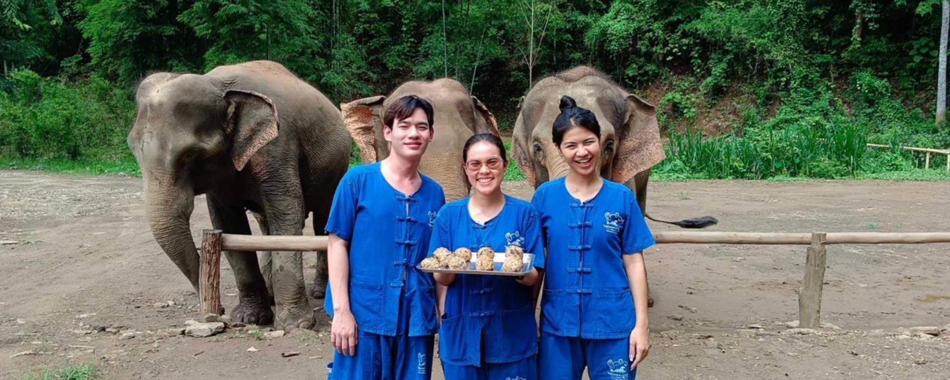 Erlebnisse mit Elefanten in Chiang Mai: Thai Elephant Home