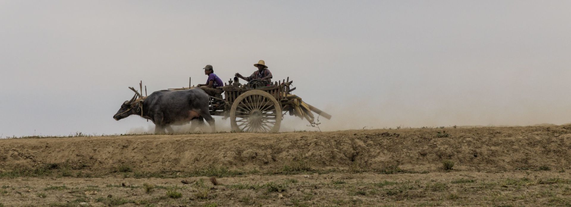 Vie authentique le long de la rivière Dohtawaddy à Mandalay: Bullock Cart