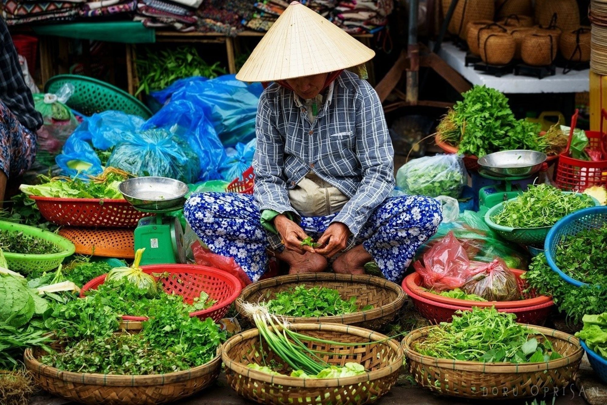 École de cuisine à Hoi An: Hoi An Cooking Class