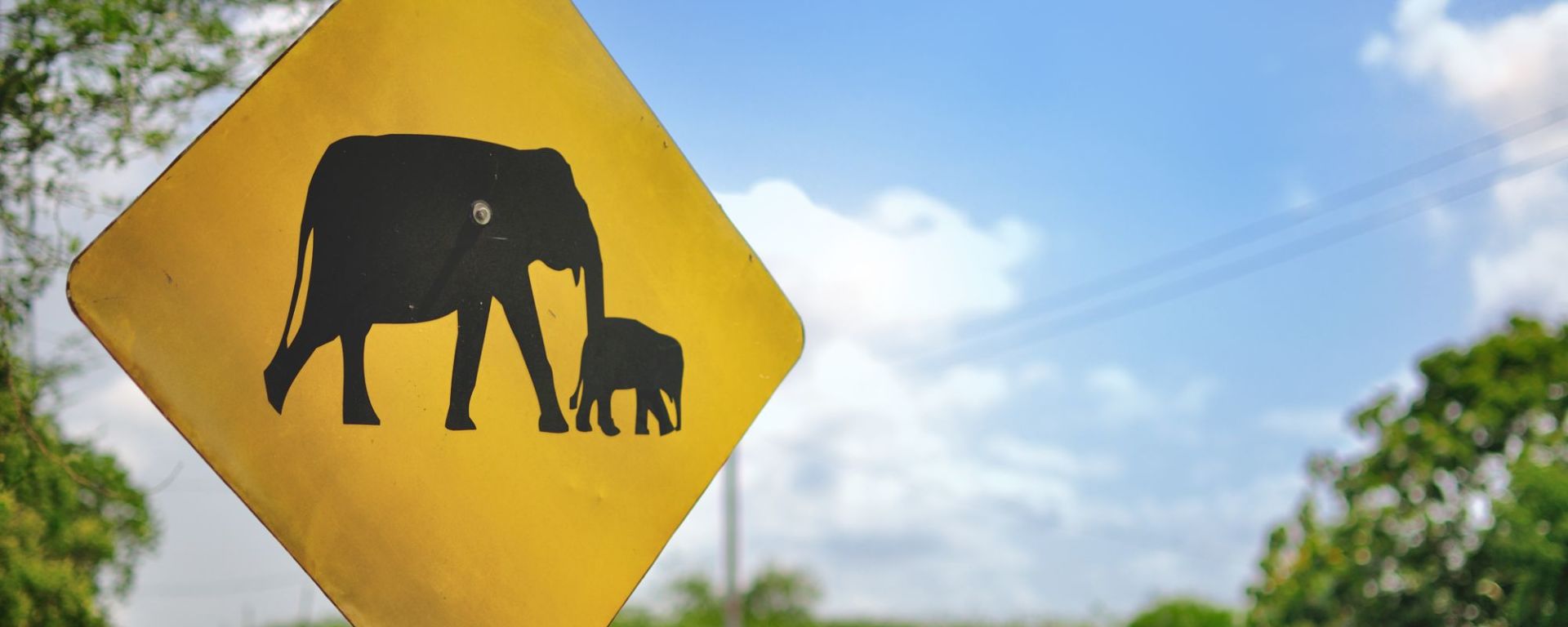 Besuch bei den Elefanten von Wasgamuwa in Dambulla: Road Sign: Caution Elephants