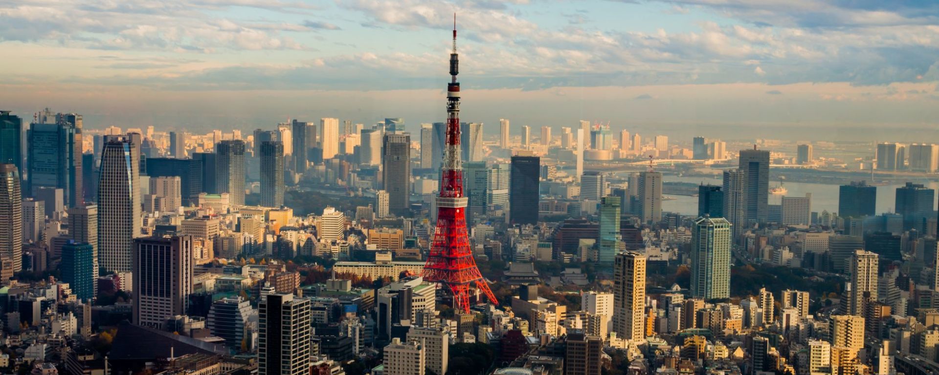 Tokyo à la carte - Demi journée: Tokyo: City view with Tower