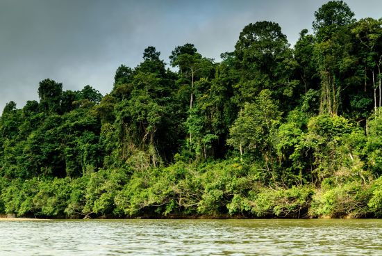 Parc national du Taman Negara de Kuala Lumpur: Taman Negara seen from the river Sungai Tembeling