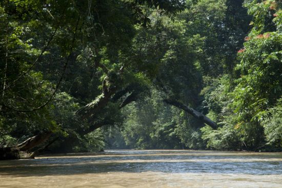 Parc national du Taman Negara de Kuala Lumpur: Taman Negara: River in the jungle