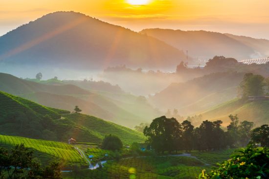 Circuit en voiture de location Malaisie de Kuala Lumpur: Malaysia Cameron Highlands
