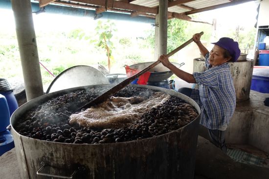 Les hauts lieux de la Thaïlande de Bangkok: Natural cosmetics production