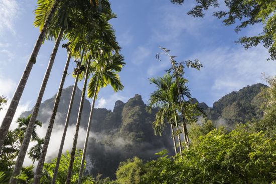 Elephant Hills - 2 Tage ab Phuket: Elephant Hills