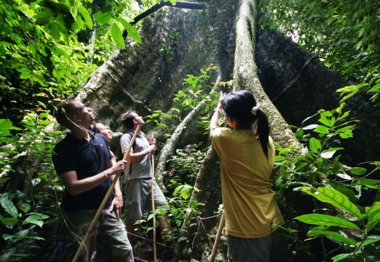 Elephant Hills - 2 Tage ab Phuket: Elephant Hills Jungle Trek