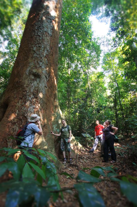 Elephant Hills - 2 Tage ab Phuket: Khao Sok National Park: Jungle trekking